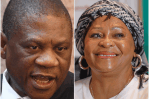 Mokonyane or Mashatile for president?