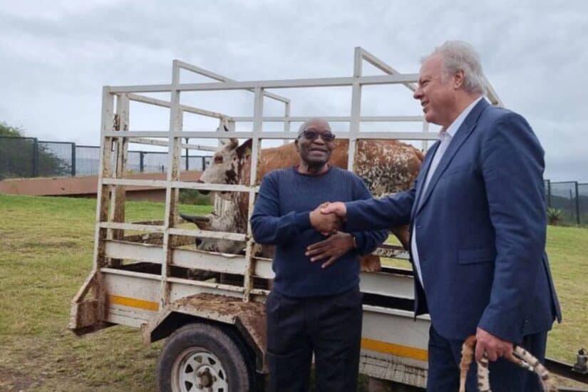 Zuma's MK party rejects claims it's funded by Louis Liebenberg