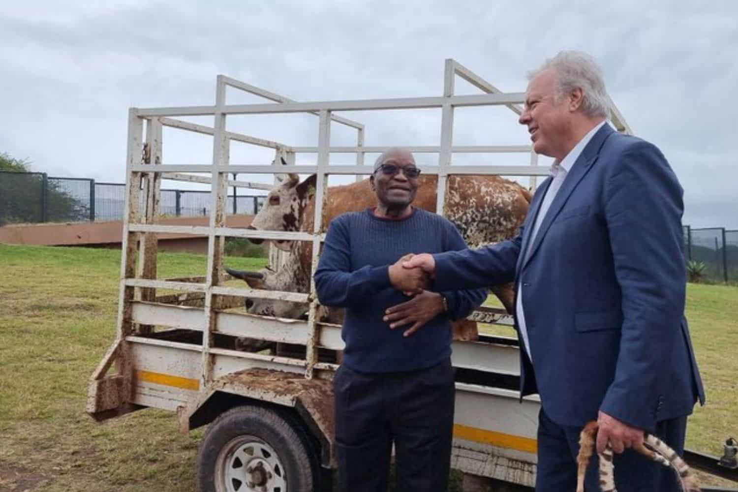 Zuma's MK party rejects claims it's funded by Louis Liebenberg