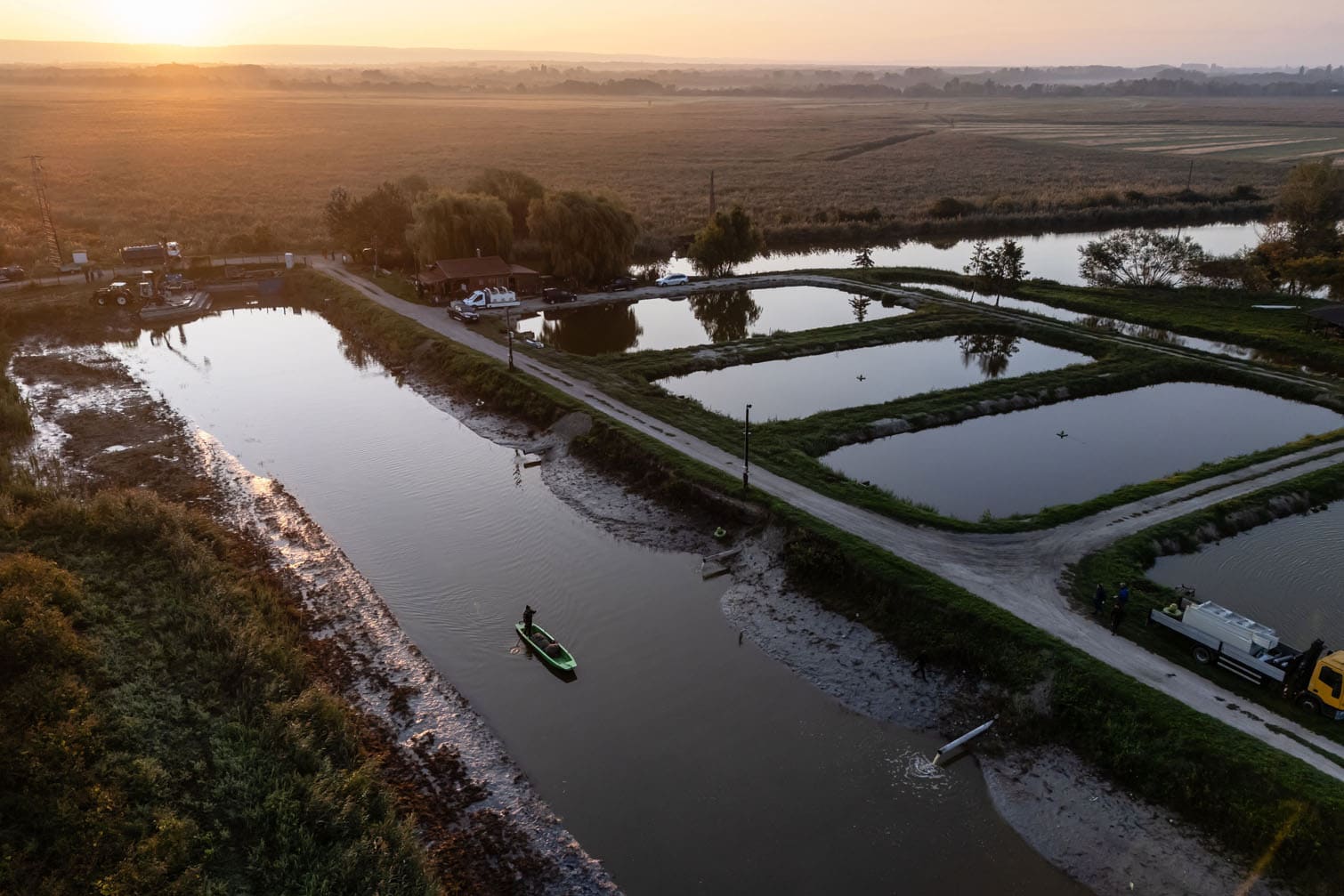Lake Balaton restocked with native fish species as part of autumn maintenance