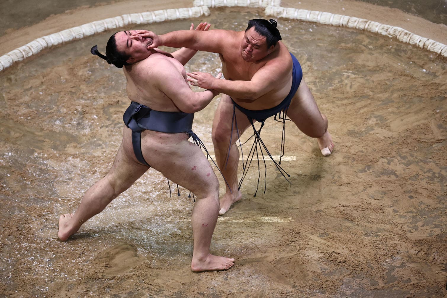 Grand Sumo Tournament at the Royal Albert Hall