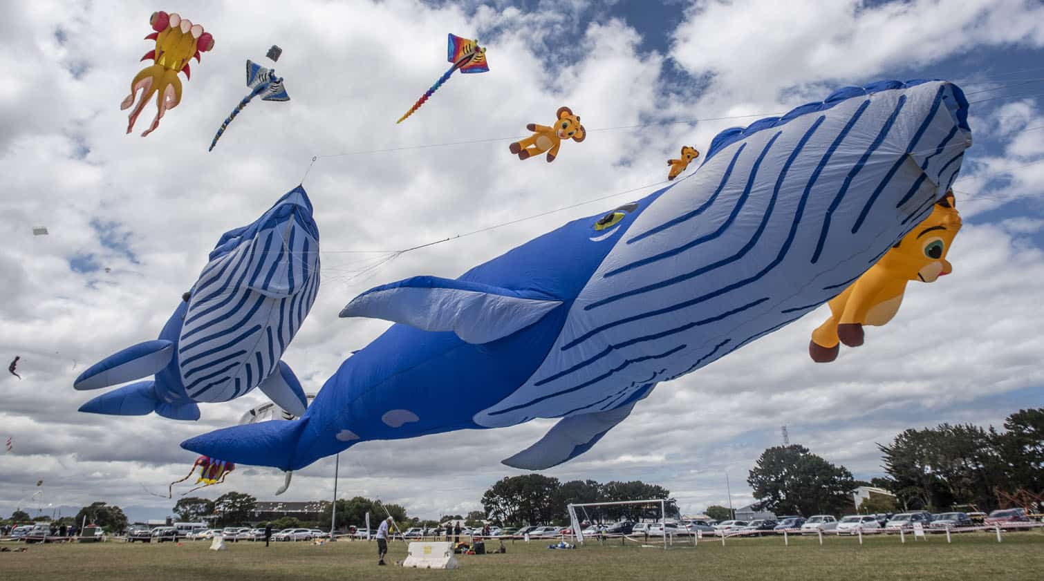 Cape Town International Kite Festival