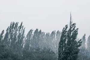 Weather
