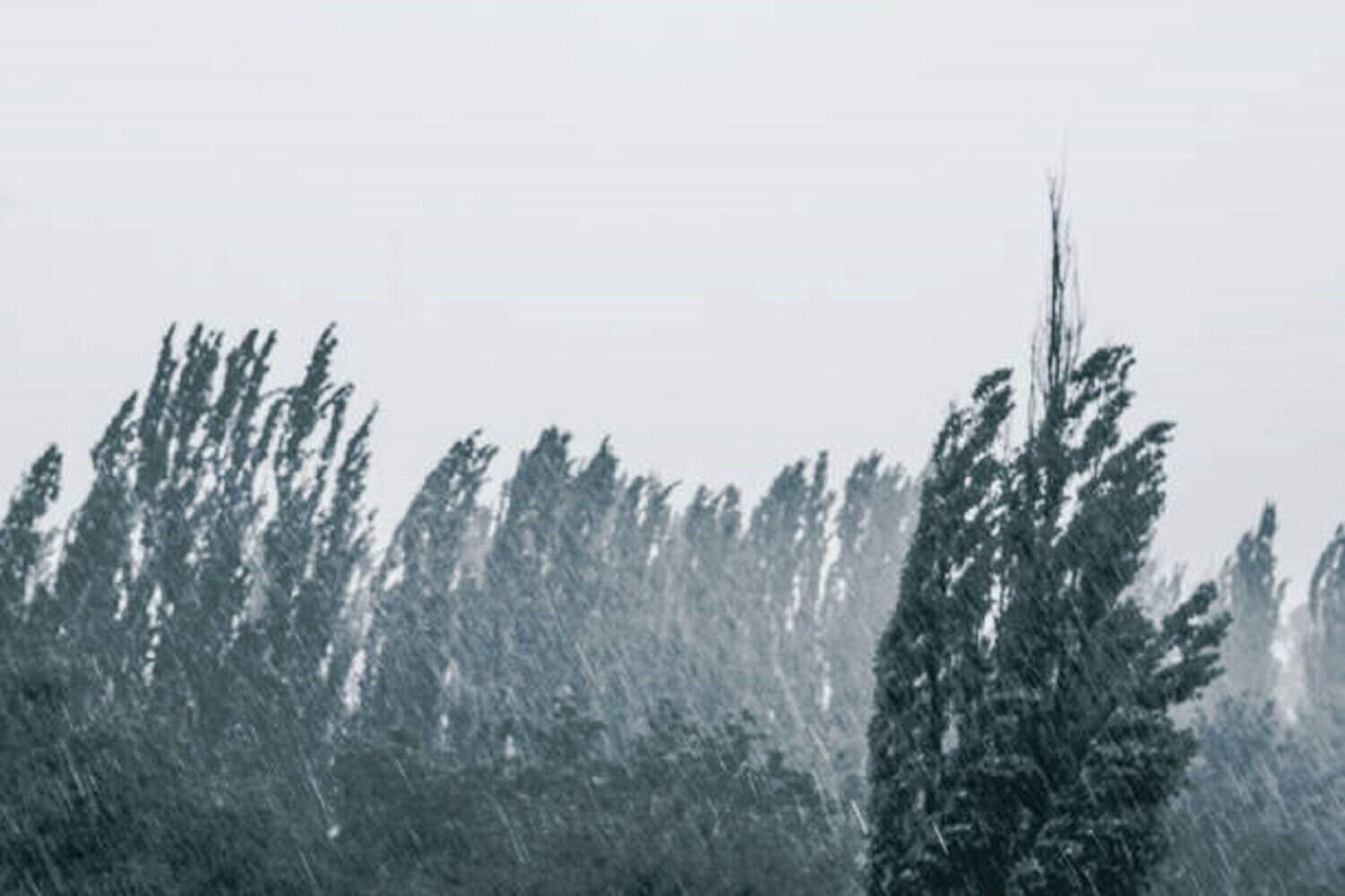 Weather