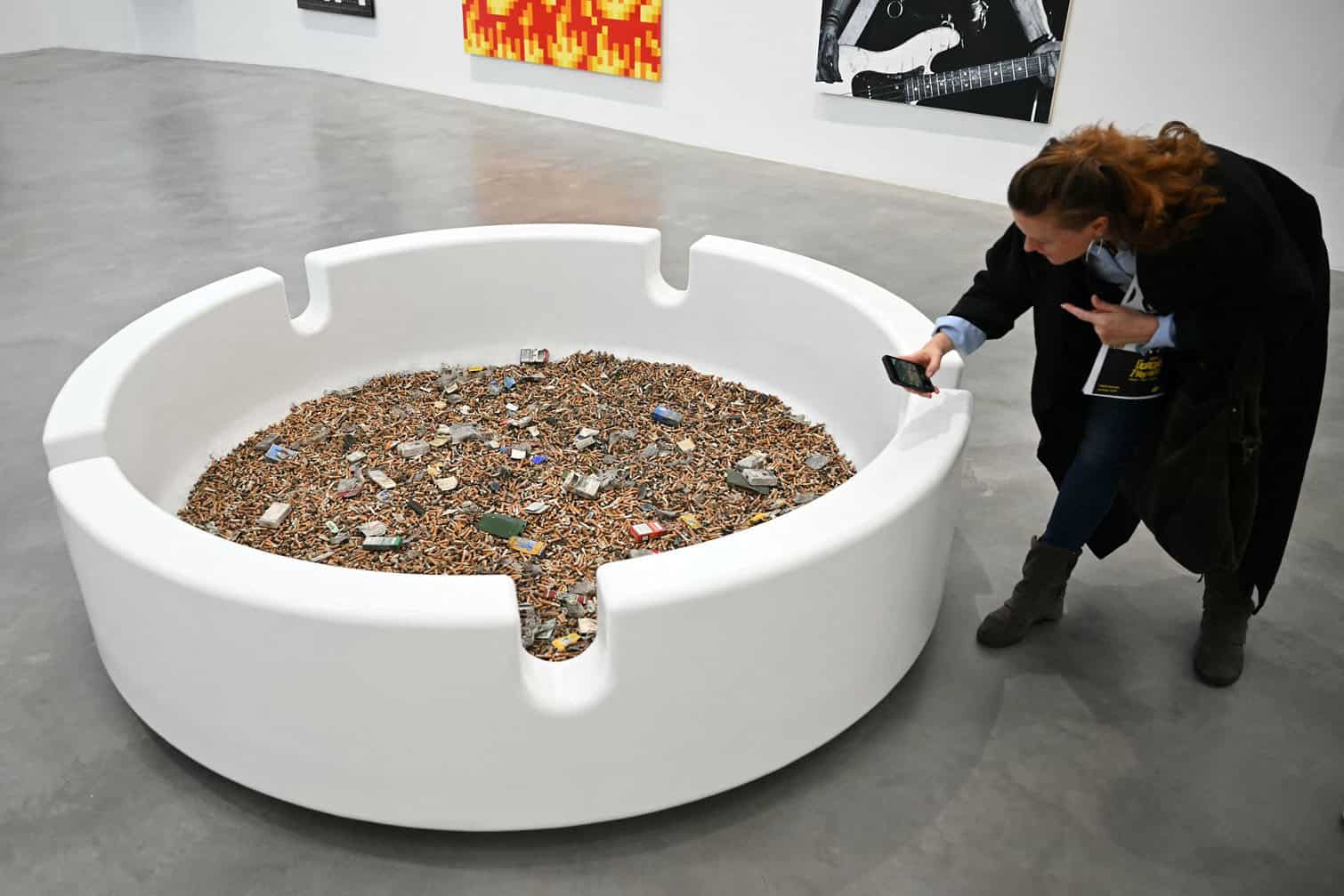 A visitor photographs the artwork 'Schizophrenogenesis'