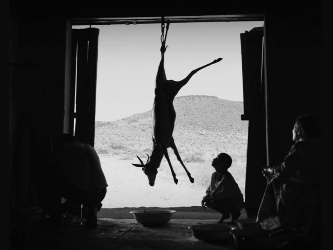 hen horror movie 2025 