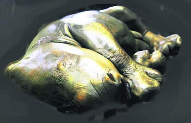 A horrid tale of brutal rhino hackers