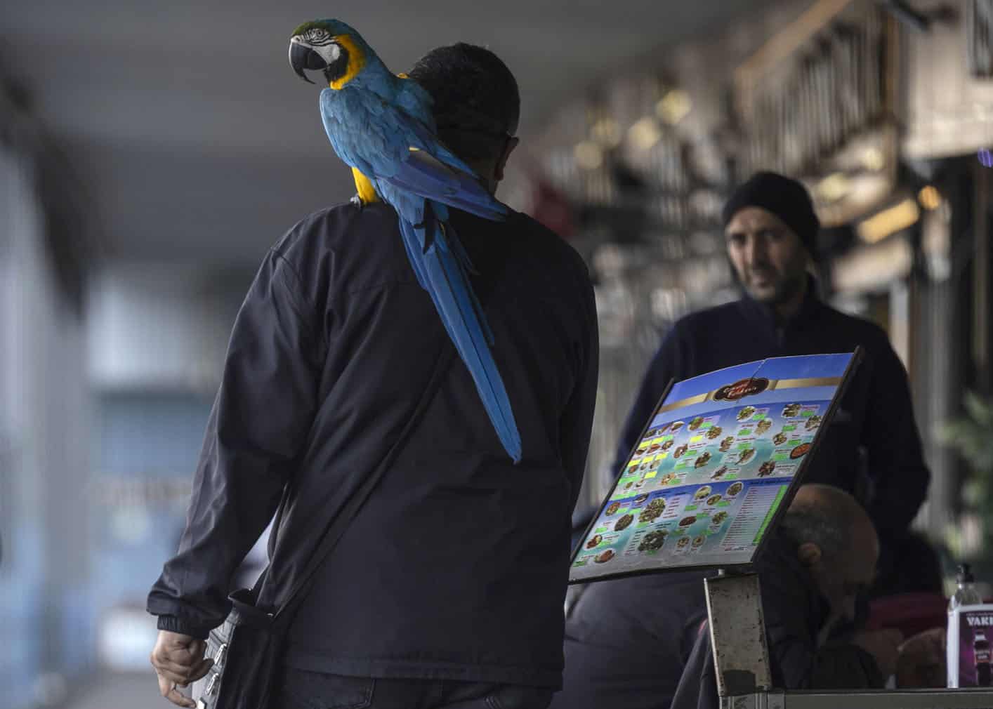 Daily life in Istanbul