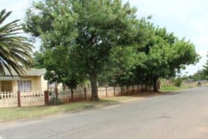The area of Pyrite Street in Carletonville from where the young man was kidnapped for random