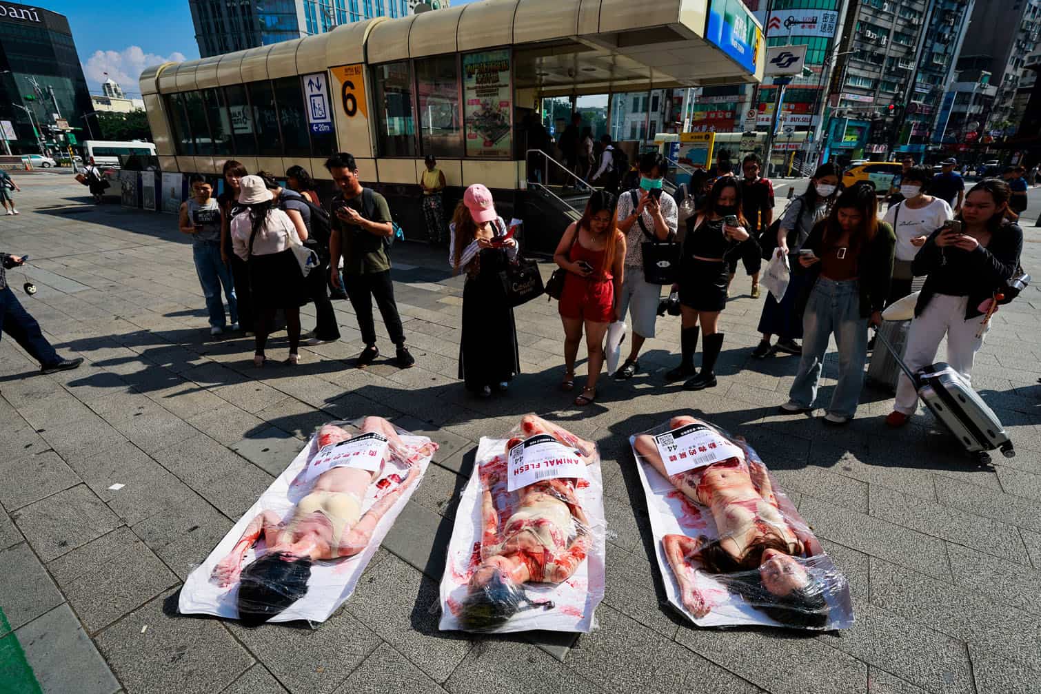 Animal rights group protest ahead of Mid-Autumn Festival in Taiwan