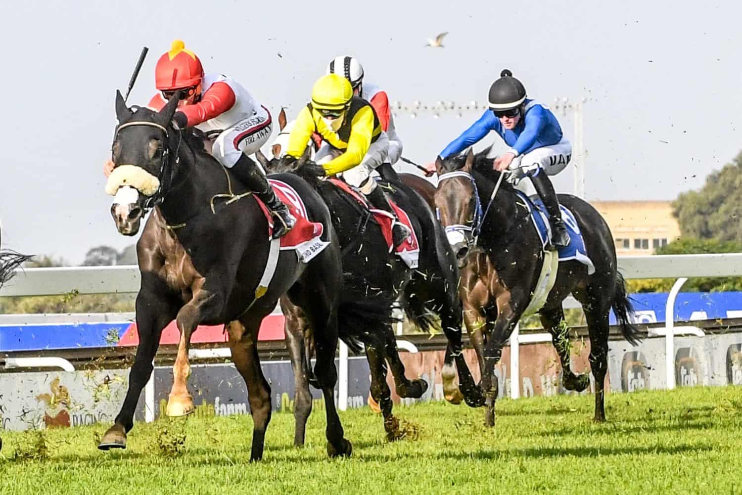 Horse racing
