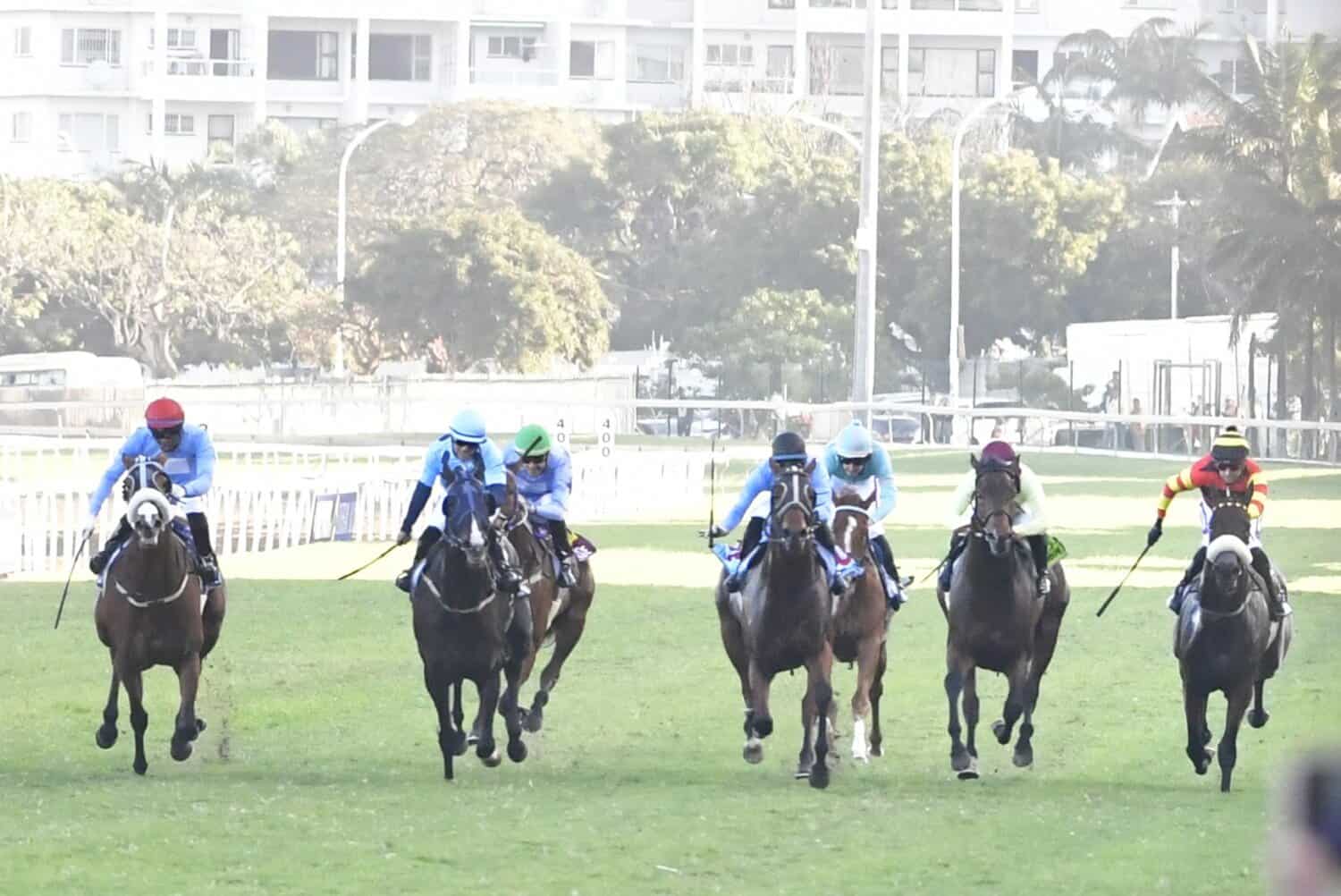 Greyville racecourse