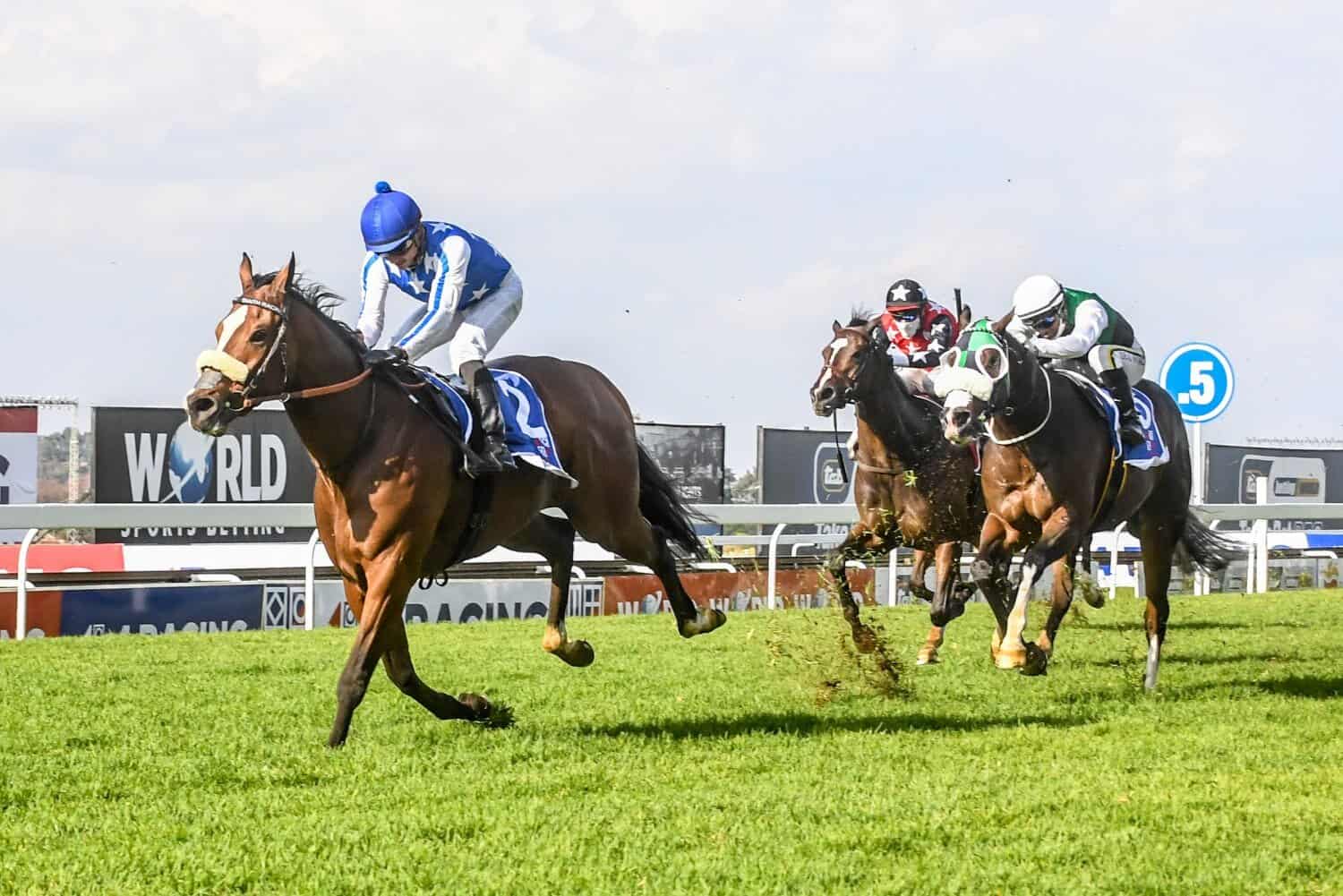 Turffontein racecourse