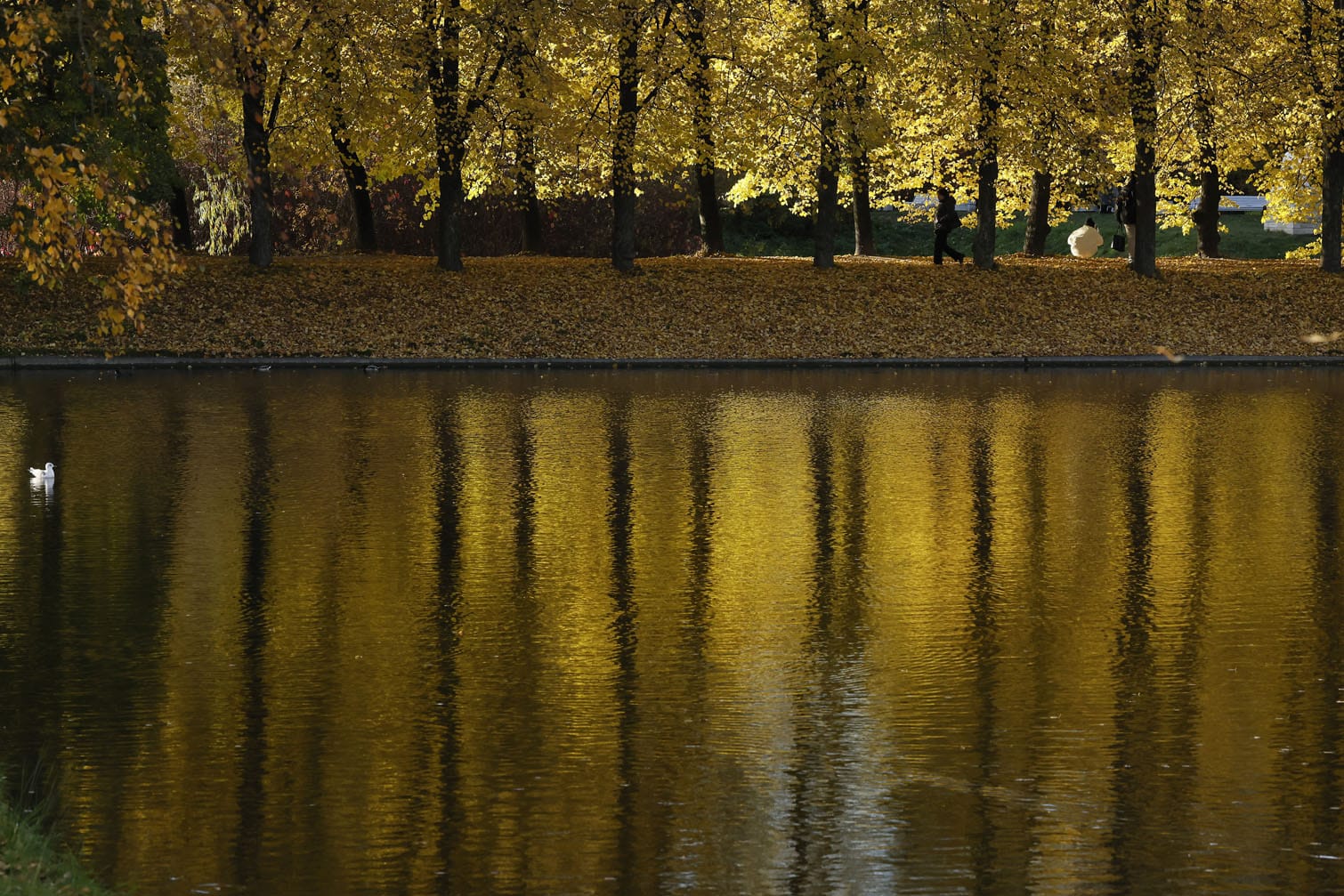 Autumn weather in St. Petersburg