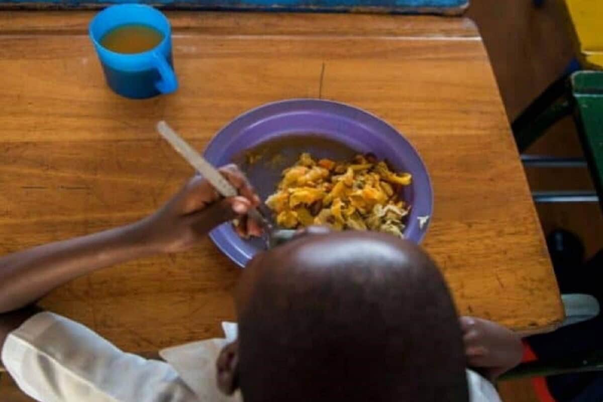 DA raises alarm over Gauteng’s school nutrition payment delays