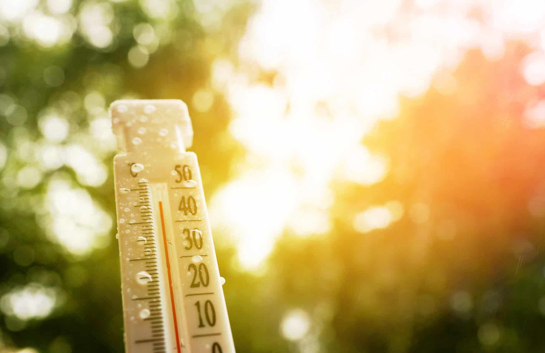 Gauteng weekend weather