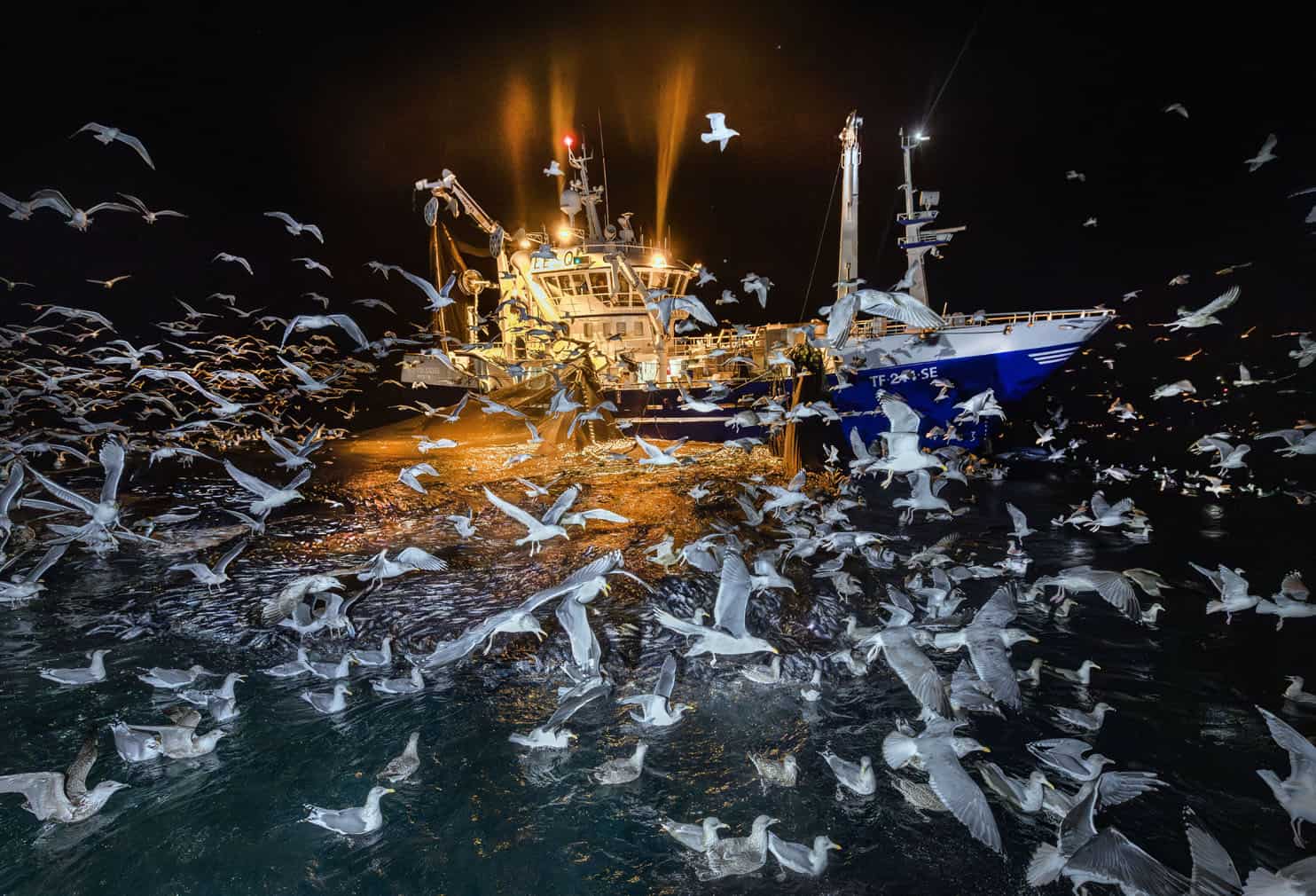 Wildlife Photographer of the Year
