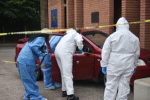 In case you missed it 5 November 2025