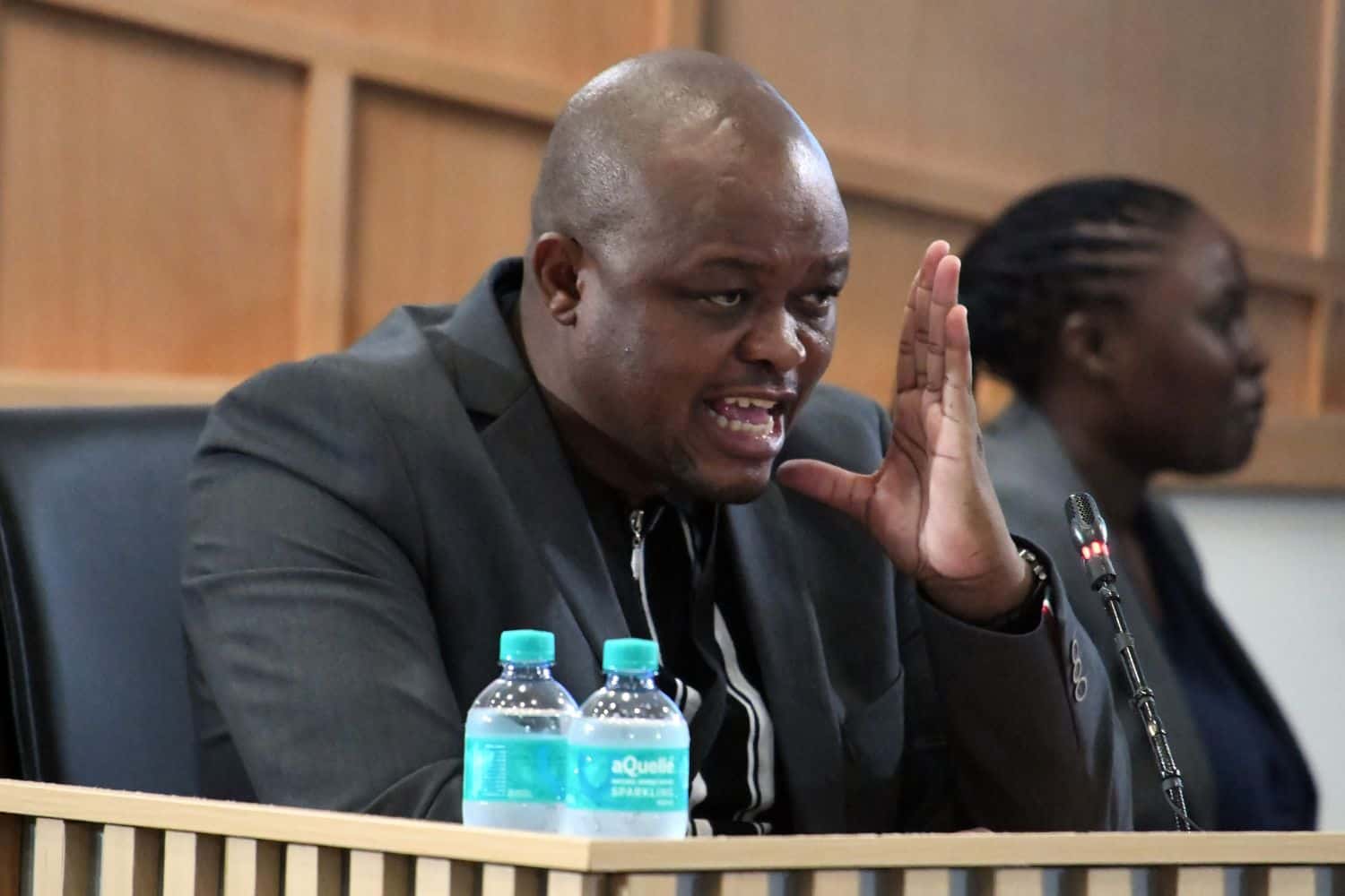 Senzo Mchunu presidential campaign Brown Mogotsi