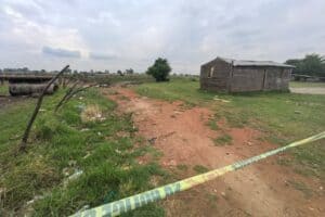 Brown Mogotsi shot car