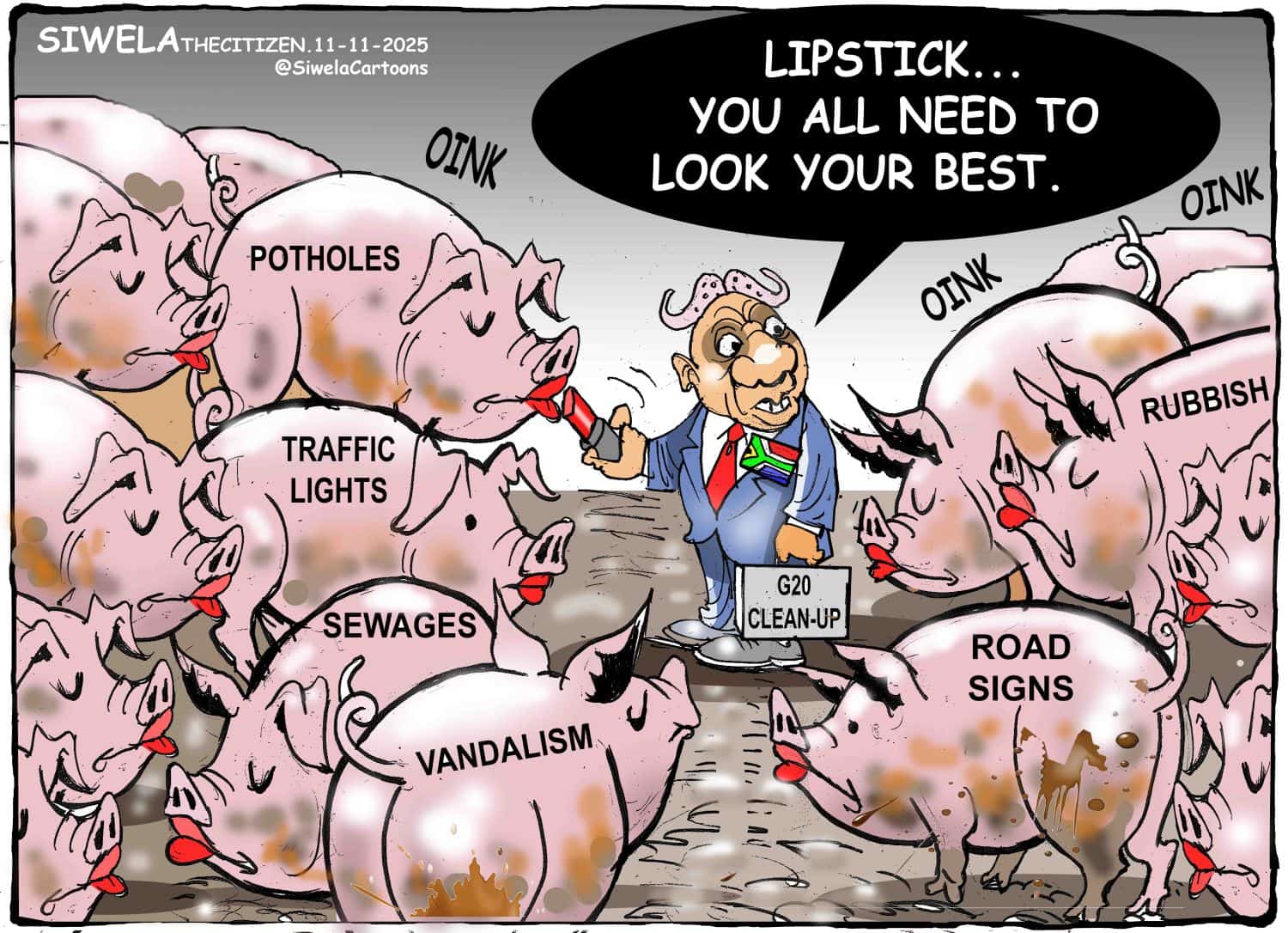 G20 lipstick on a pig cartoon Joburg Gauteng