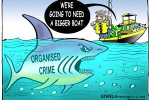 Cartoon Ramaphosa organised crime Madlanga commission ad hoc committee
