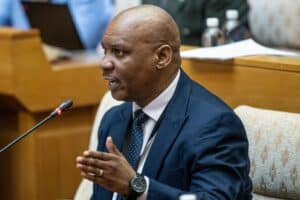 Mchunu Nkabinde Brown Mogotsi