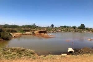 Labore Industrial Park Ekurhuleni drowning