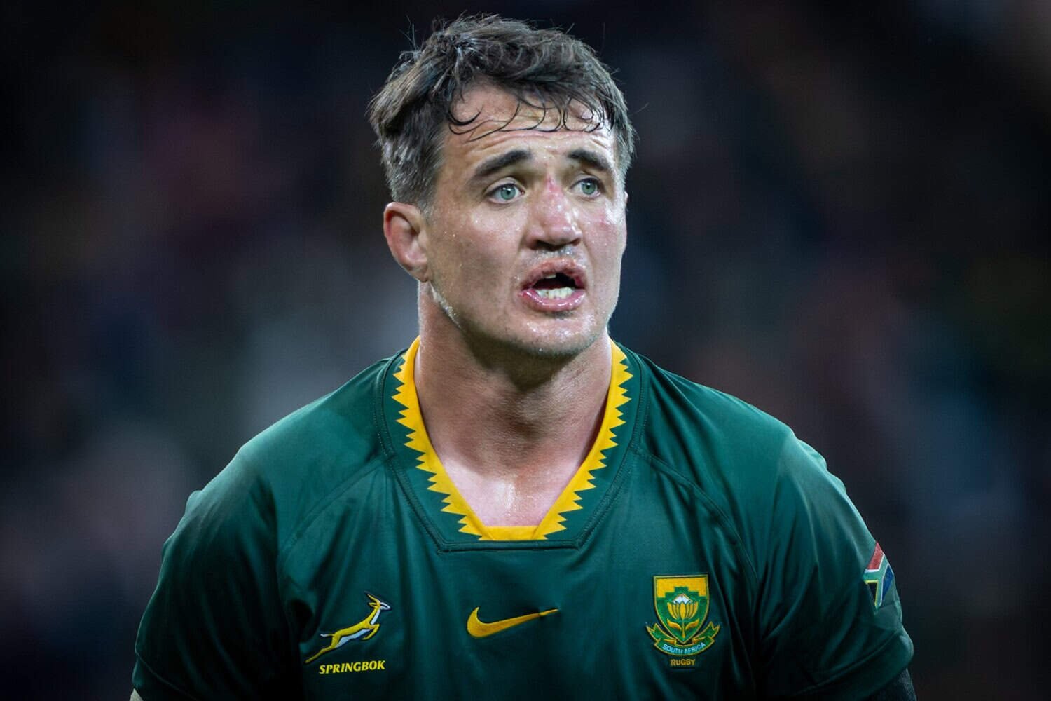 Springbok utility forward Franco Mostert