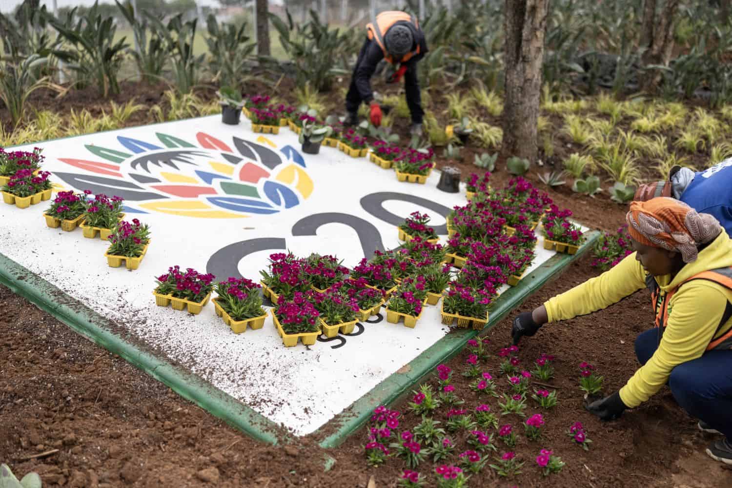 G20 Summit South Africa US Trump