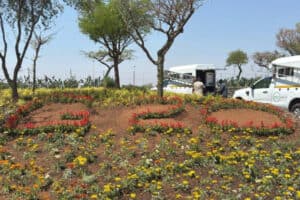 Questions have been asked about the urgency being displayed in fixing Gauteng for the G20 Summit.