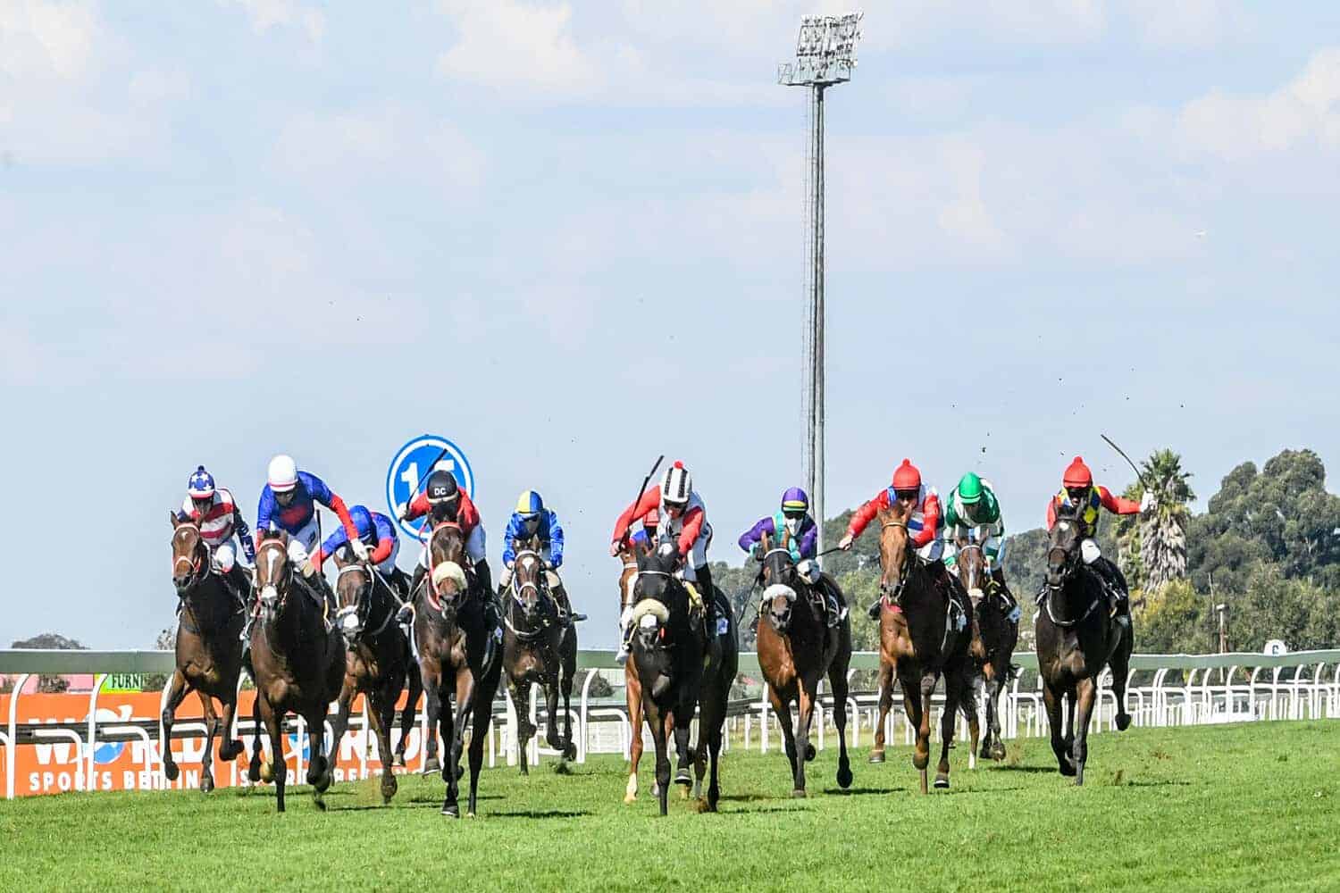 Horse racing picture