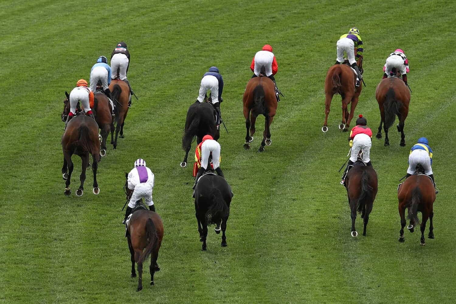 Stock picture of horses racing