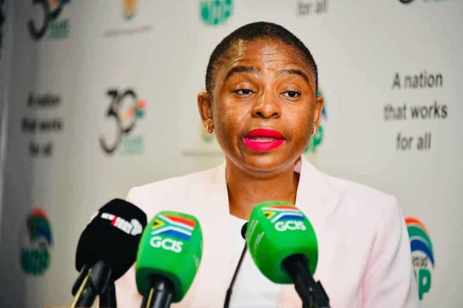 ANC not picking up the fight after Pandor's visa revoked