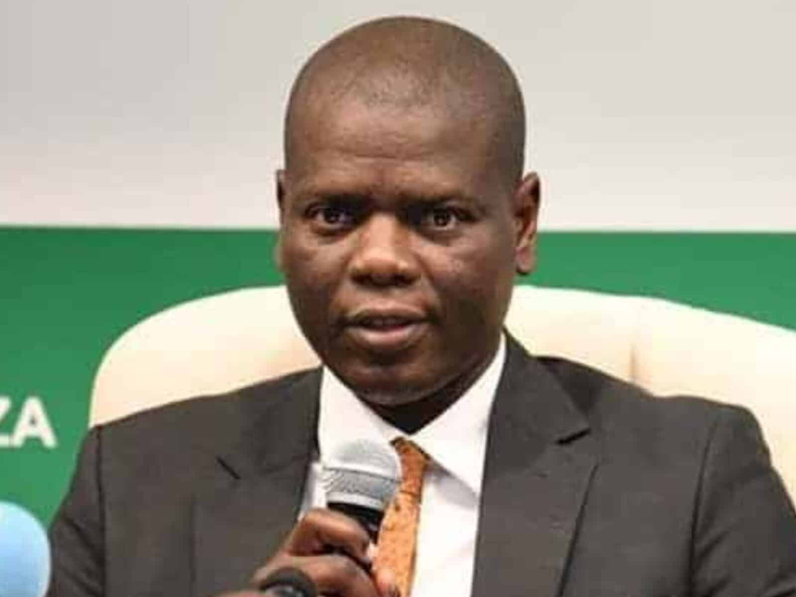 Young leaders-Africa-ANCYL