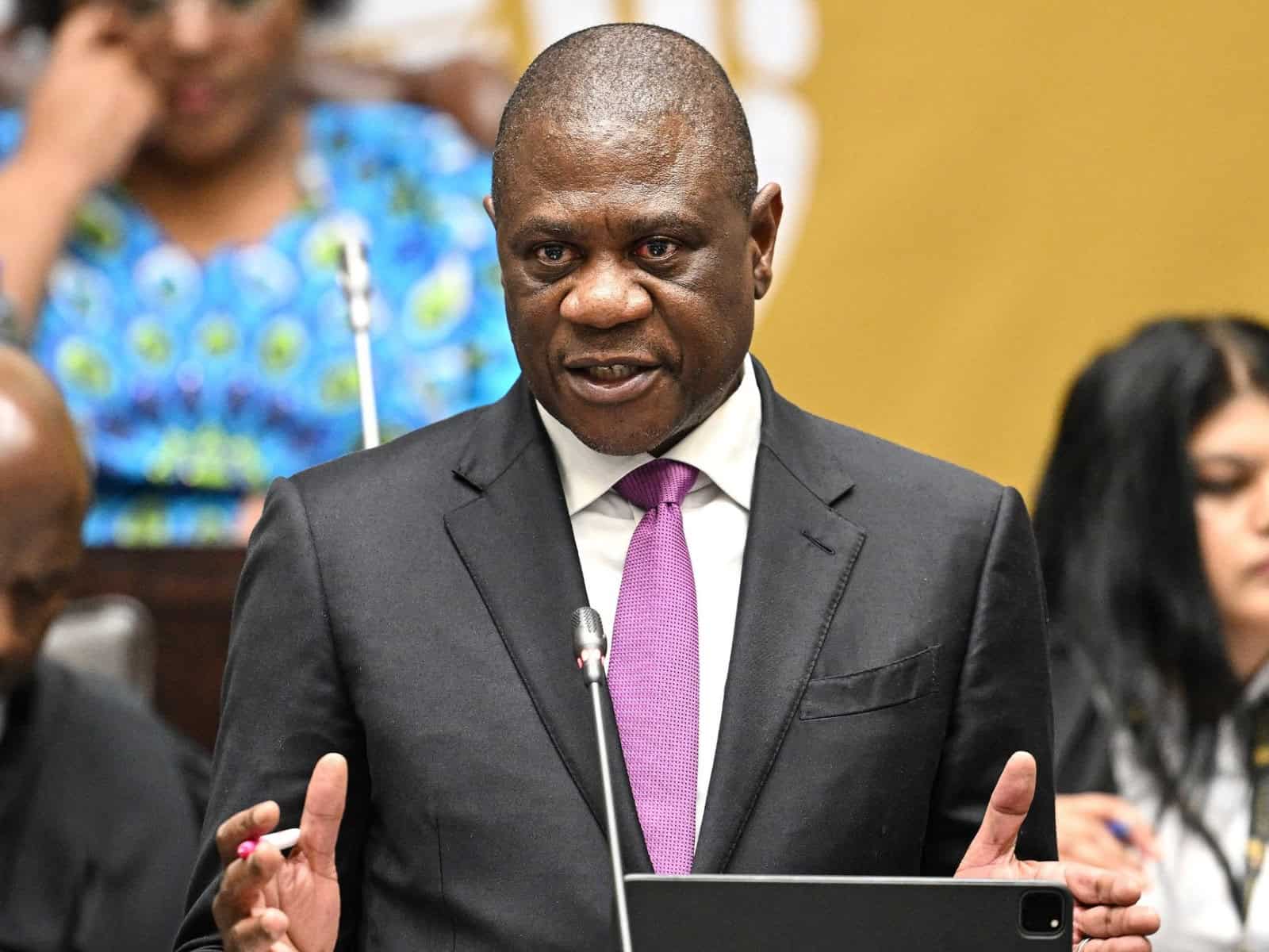 Paul Mashatile said expropriation will become a reality but will be executed in line with the constitution.