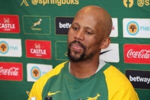 Springbok backline coach Mzwandile Stick