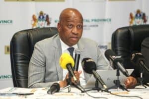 KZN government of unity National Freedom Party