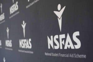 Nsfas board chair resigns