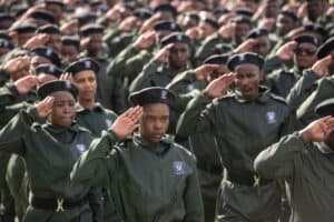 Panyaza Lesufi Gauteng crime prevention wardens