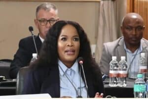 Saps CFO breaks down PKTT budget, says she never discussed it with Mchunu