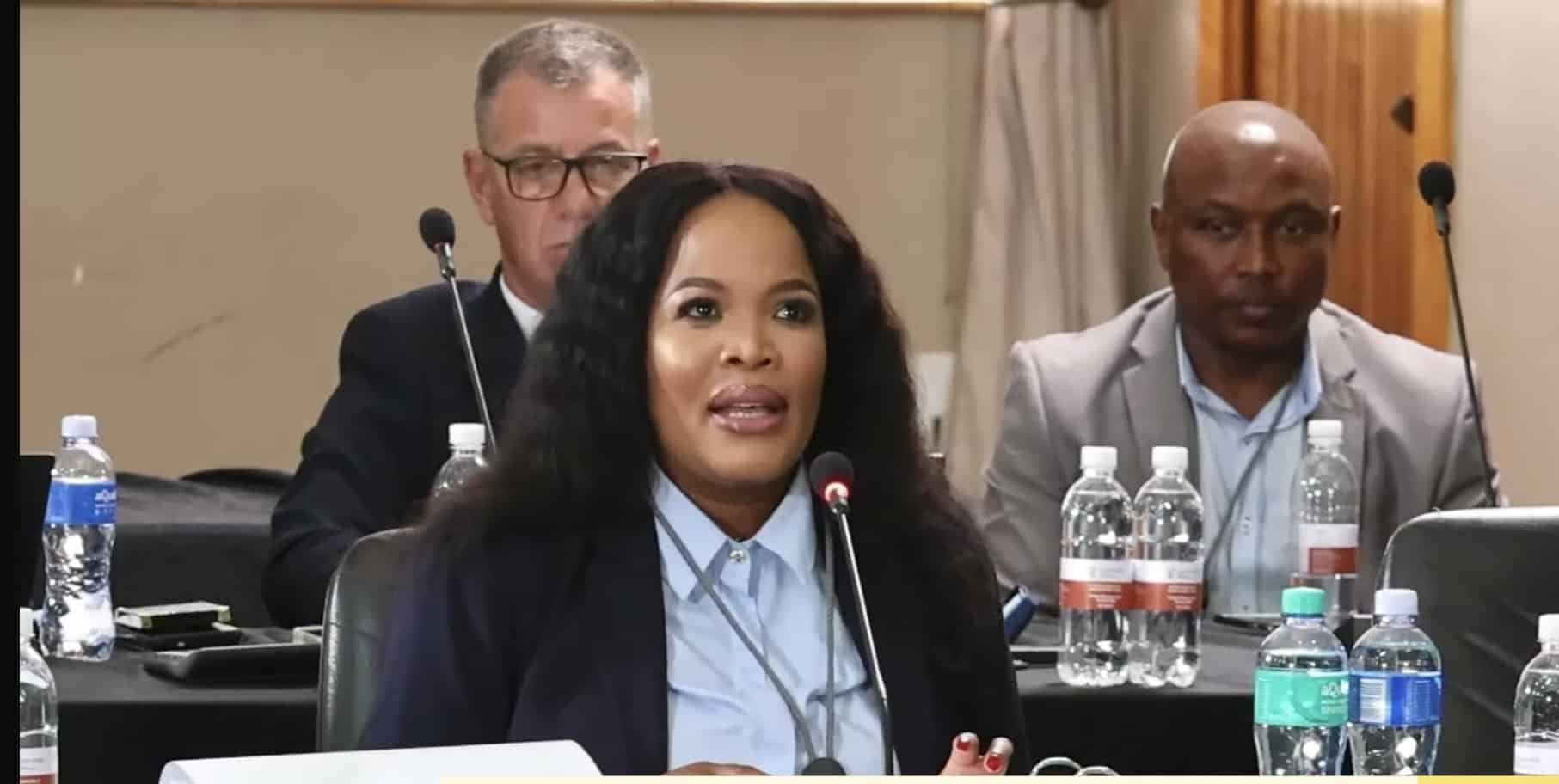 Saps CFO breaks down PKTT budget, says she never discussed it with Mchunu
