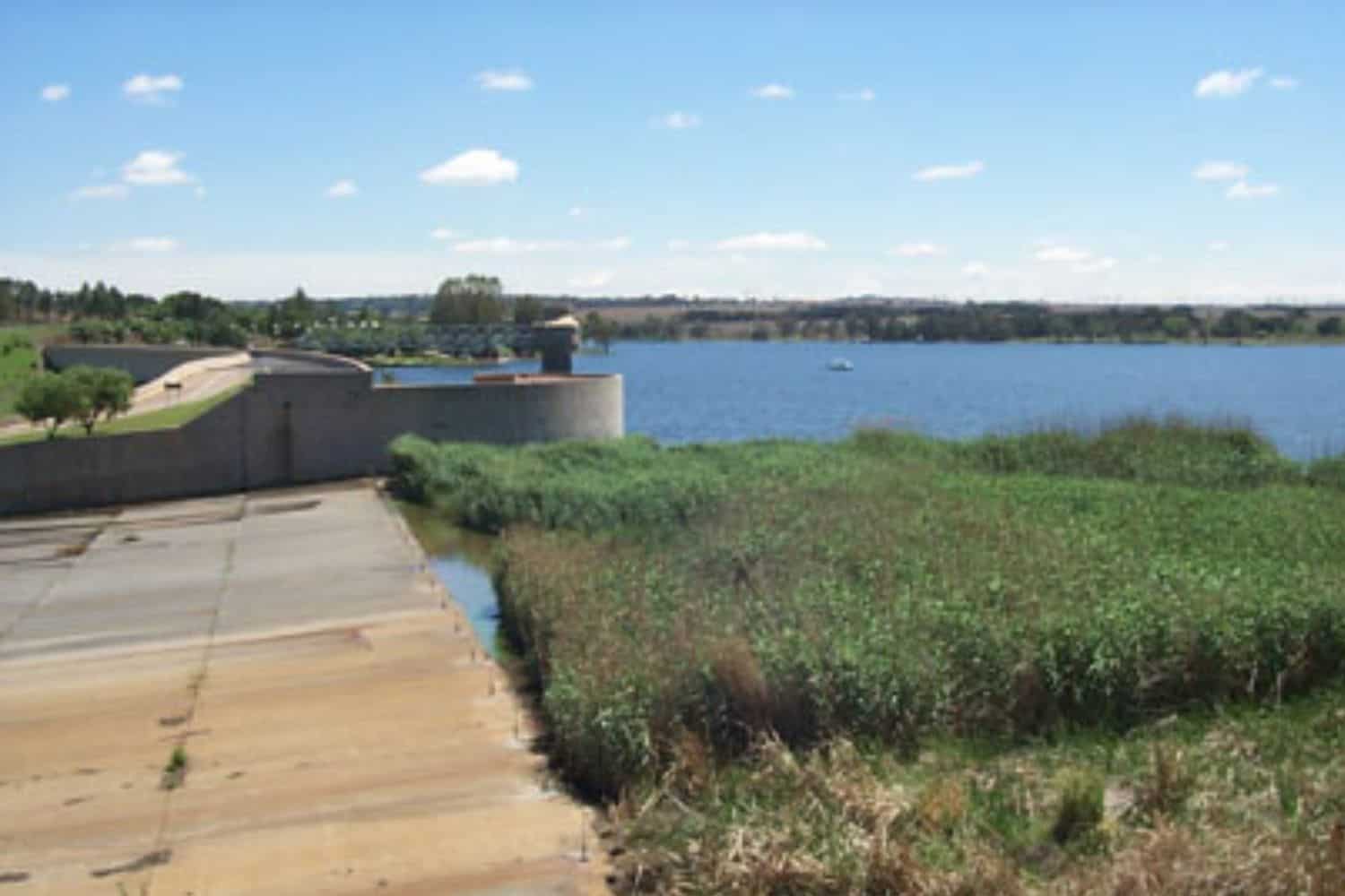 sewage Effluent found at Rietvlei Dam