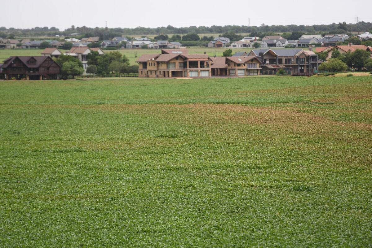SAHRC exposes racial bias in Hartbeespoort land leases