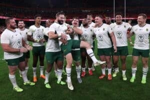 Springbok scrumhalf Cobus Reinach