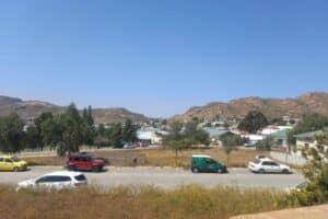 Springbok power and Treasury