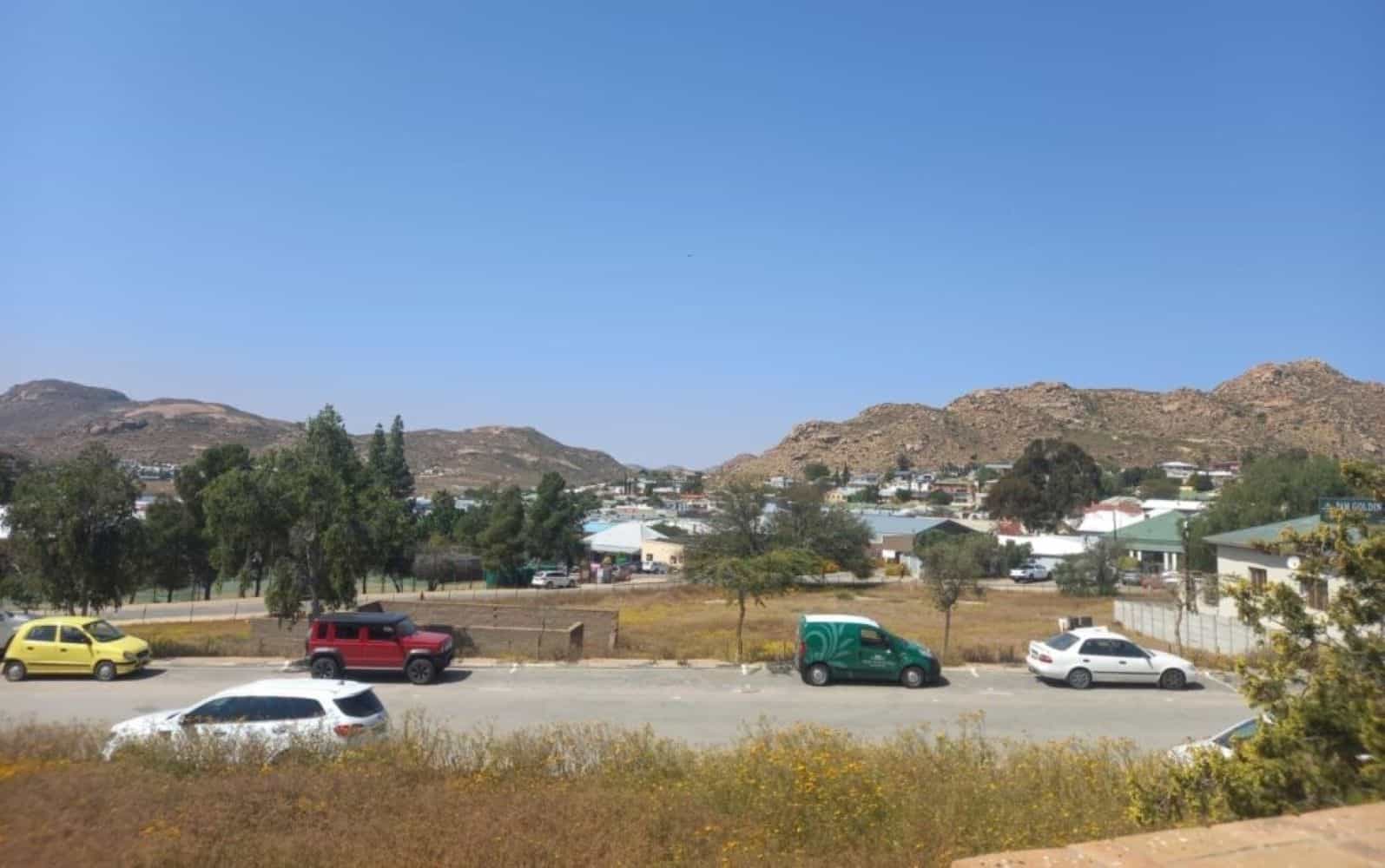 Springbok power and Treasury