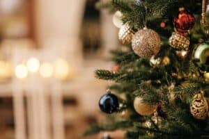 The great Christmas tree timing debate
