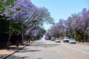 Tshwane sinkhole repair