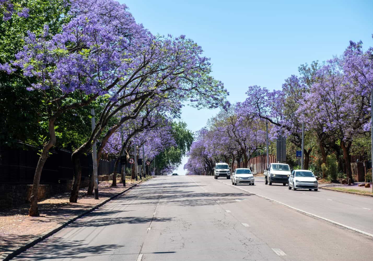 Tshwane sinkhole repair